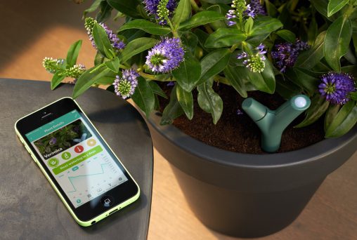 Parrot Flower Power ($79.99) is a smart wireless sensor designed to help mum take care of her chrysanthemums. This gadget monitors soil moisture, fertiliser, ambient temperature and light intensity. It will then let mum know exactly what her flowers need by sending helpful notifications to her smartphone or tablet via a dedicated app.