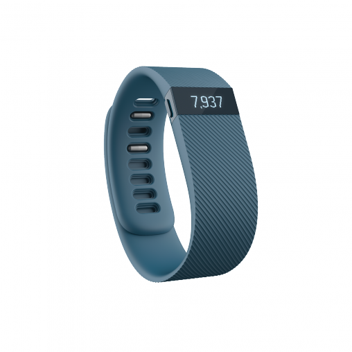 The Fitbit Charge in Slate 