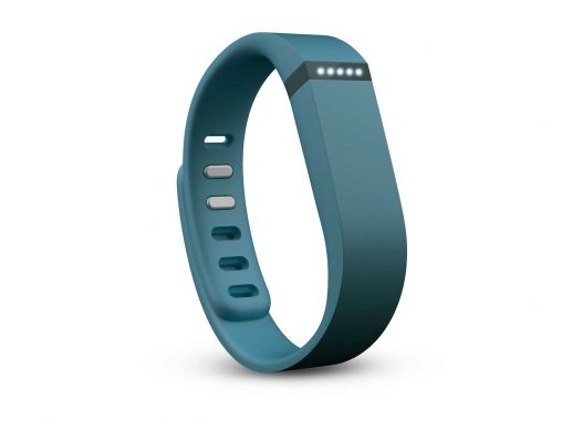 Fitbit Flex