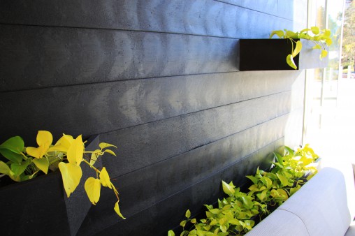 Recycled planter wall at Canon head office